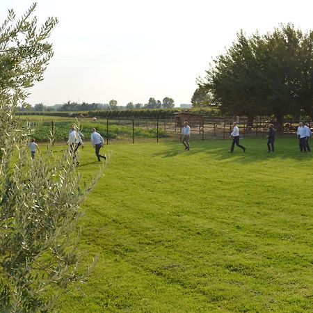 Agriturismo Al Casale Lonigo Buitenkant foto